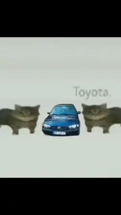 Toyota. 