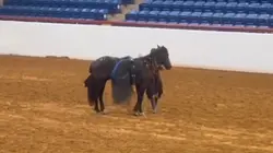 Our freestyle! 🤭