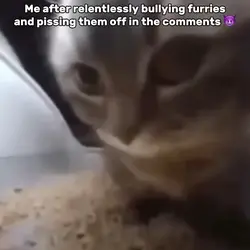 Bullying Furries