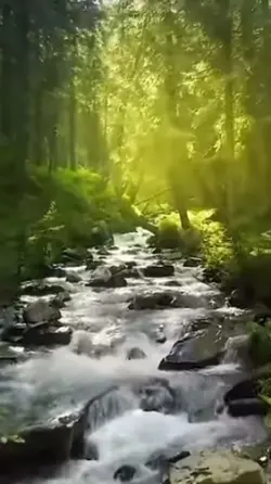 Healing your soul 
