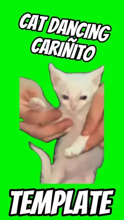 Cat Dancing Cariñito