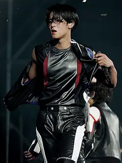 mingyu ver.
