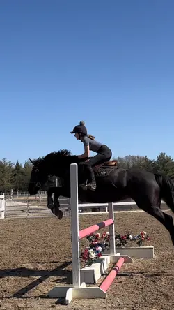 Scopey Ari 🤩