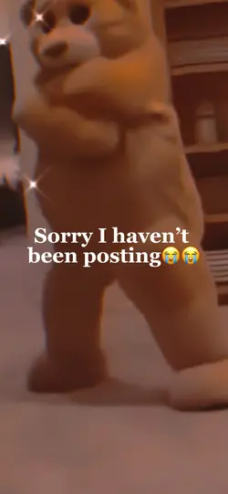 I’m sorry