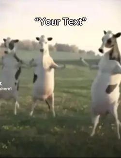 Dancing cow 🐄