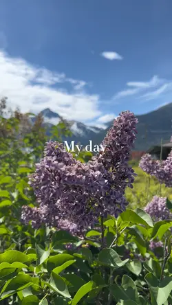 Mini Vlog Aesthetic