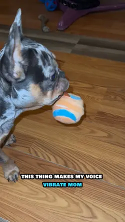 Crazy Ball 