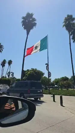 mexican flag
