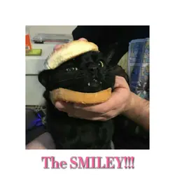 The smiley!