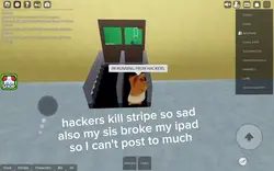 xd