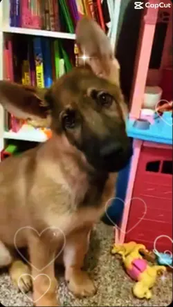 ..