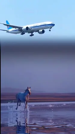 Flight