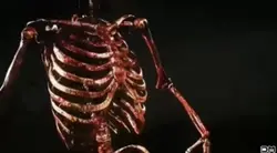 Terminator wins meme