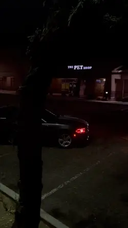 Glitch 