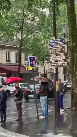 lively video dump