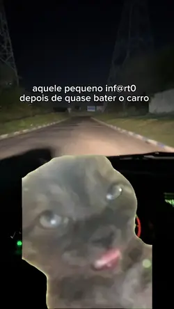 aquele sustinho