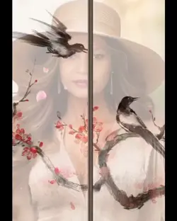 @silenciar 