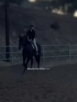 Black horsesss >>>>