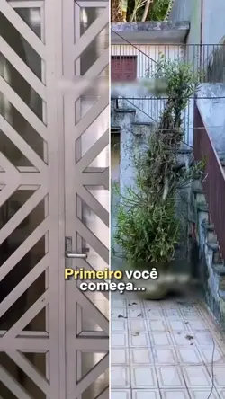 TREND Antes e Depois