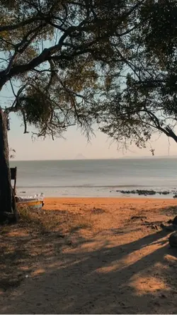 Escape e livramentos