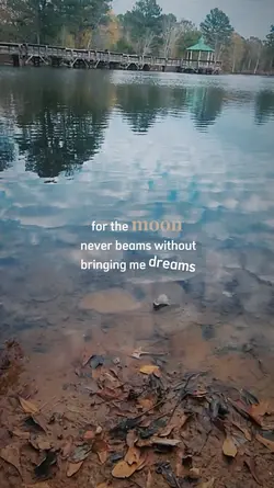 poetry 