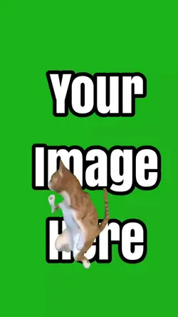 Dancing Cat Meme