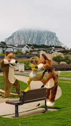 Video de humor

