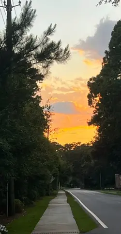 💛