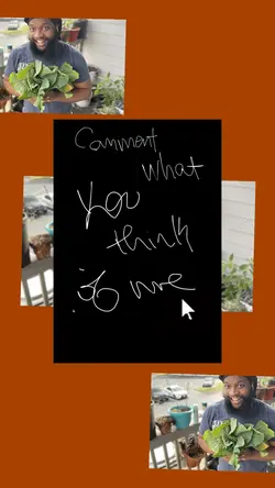 Comment Engagement 