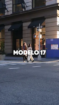 MODELO 17