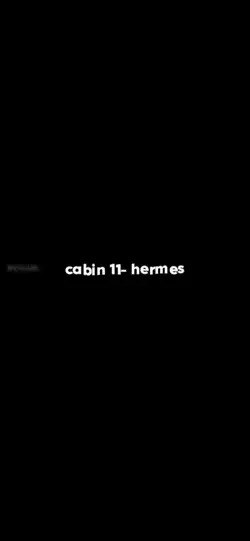 cabin 11