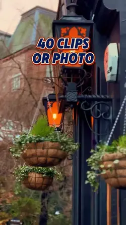 40 clips or photo 