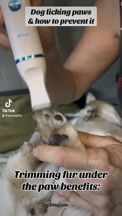Paws grooming 