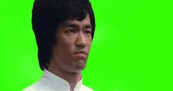 Bruce Lee 