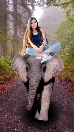 elefante 