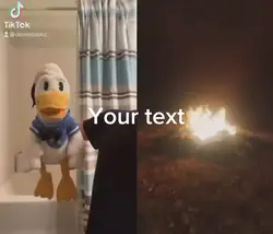 Donald duck