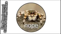 Nope lessons 🕷️ 