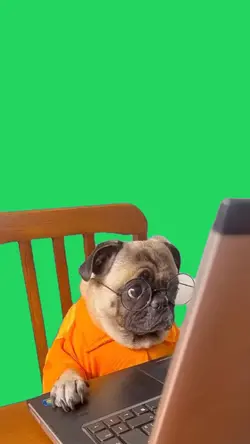 fundo verde 
