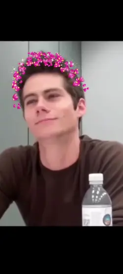 wholesome edit