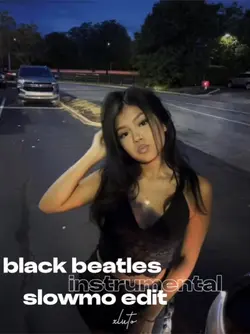 black beatles instru