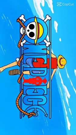 ONE PIECE ☠️