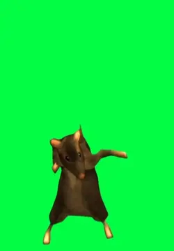 rat dancin