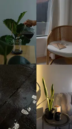 colagem 4 vídeos