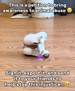 Animal Abuse 😢