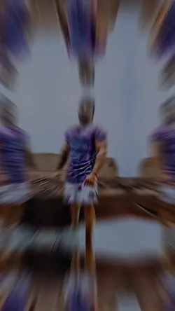 NOVO MODELO 