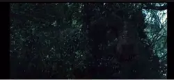 TRex 