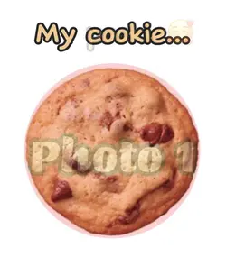 Cookie/pookie