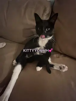 KITTYUHH💗