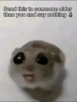 Hamster Beats