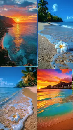 Watch the sunset Haw